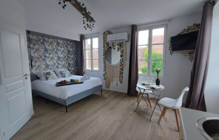 Studio Kamelia